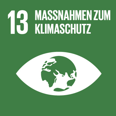 sdg13