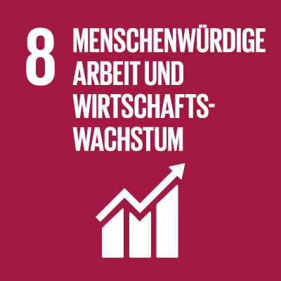 sdg8